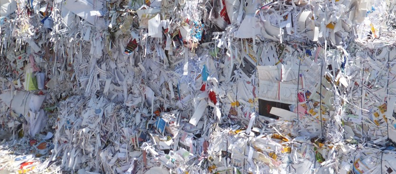 Waste Paper Recycling in India